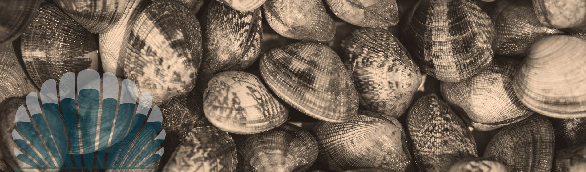 Fruit de mer cru